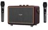 Linktech Bluetooth Hoparlör Premium Mikrofonlu M408 100W Retro