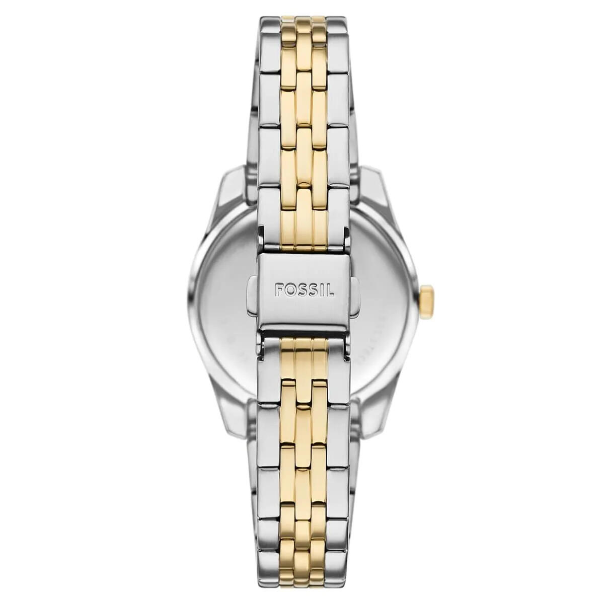 Fossil Saat Kadın FES5388