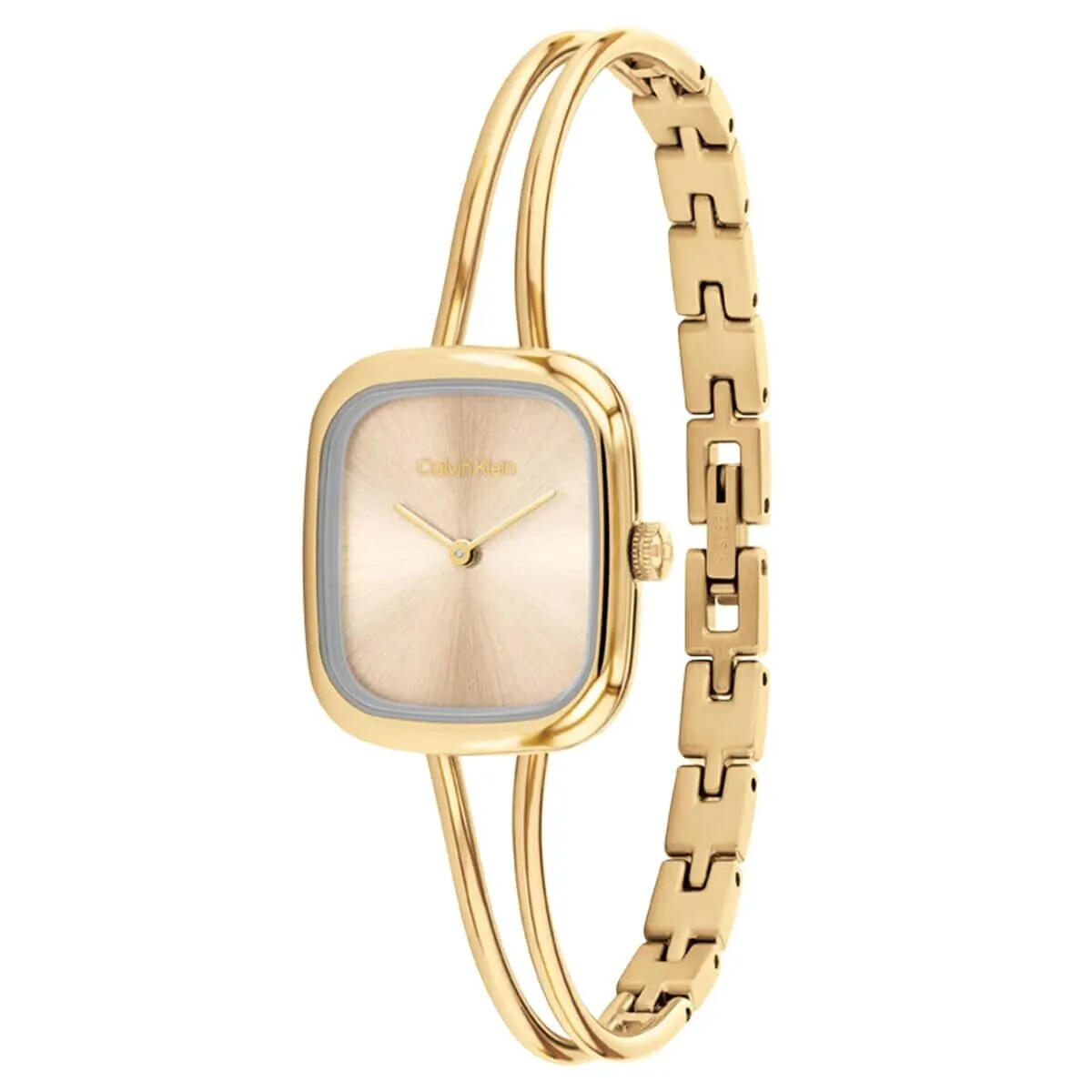 Calvin Klein Saat Kadın CK25100132