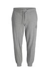 Jack&Jones Pantolon 12172084 Gri