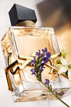Ysl Kadın Parfüm Libre Edp 90Ml