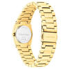 Calvin Klein Saat Kadın CK25100127