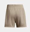 Under Armour Ua Rival Terry Short 1382742-204 Kahverengi