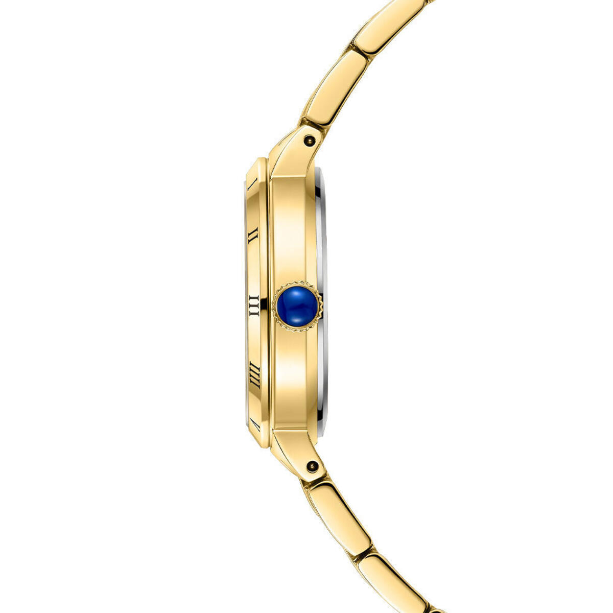 Roche Montre Kadın Saat RML5029-03