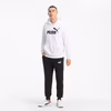 Puma Hoodie Ess Big Logo Tr 586688_02 Beyaz