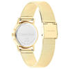 Calvin Klein Saat Kadın CK25100035