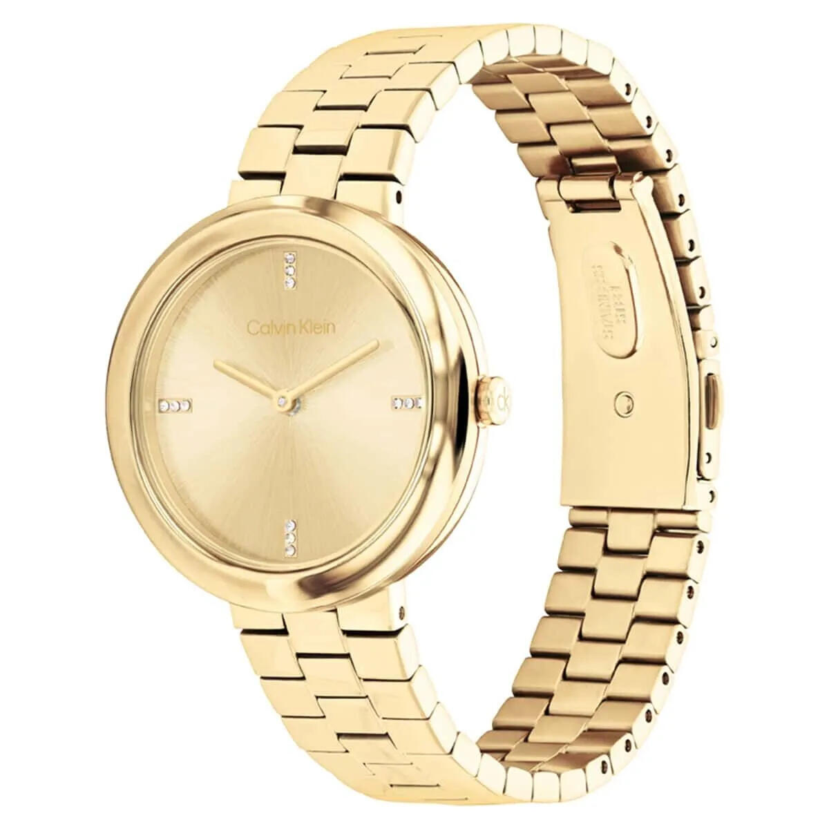 Calvin Klein Saat Kadın CK25100094