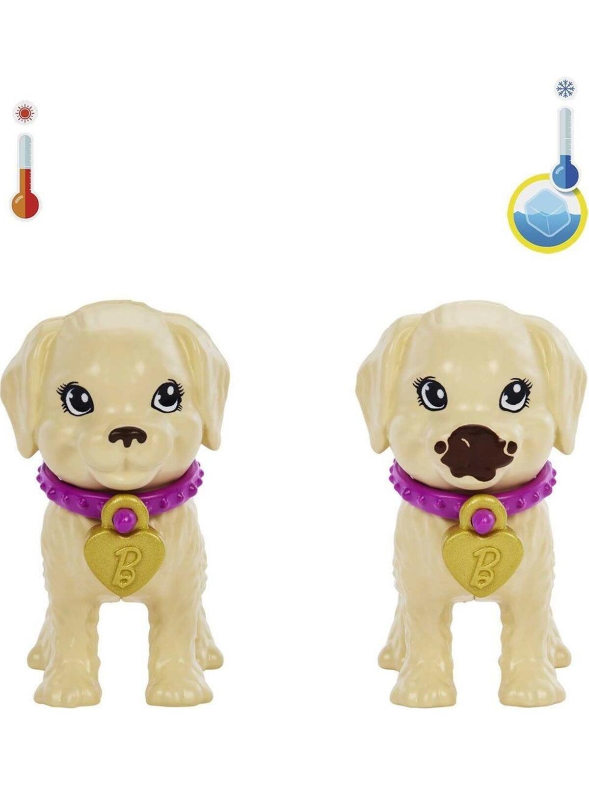 Barbie Ve Köpekçikleri Oyun Seti MTL-HKD86