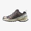 Salomon Xa Pro 3D V9 Gore-Tex L47744700 Mor/Bej/Fil Dişi