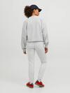Jjxx Sweatshirt 12248650 A.Gri