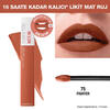 Maybelline Ruj Super Stay Matte İnk No:65