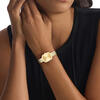 Calvin Klein Saat Kadın CK25100099
