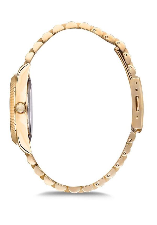 Momentus Saat Kadın CW131G-08SG