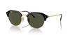 Ray-Ban Gözlük Unisex 0RB4429 601/31 55