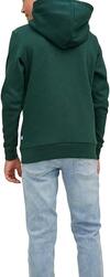 Jack&Jones Sweatshirt Erkek Çocuk 12212287 Yeşil