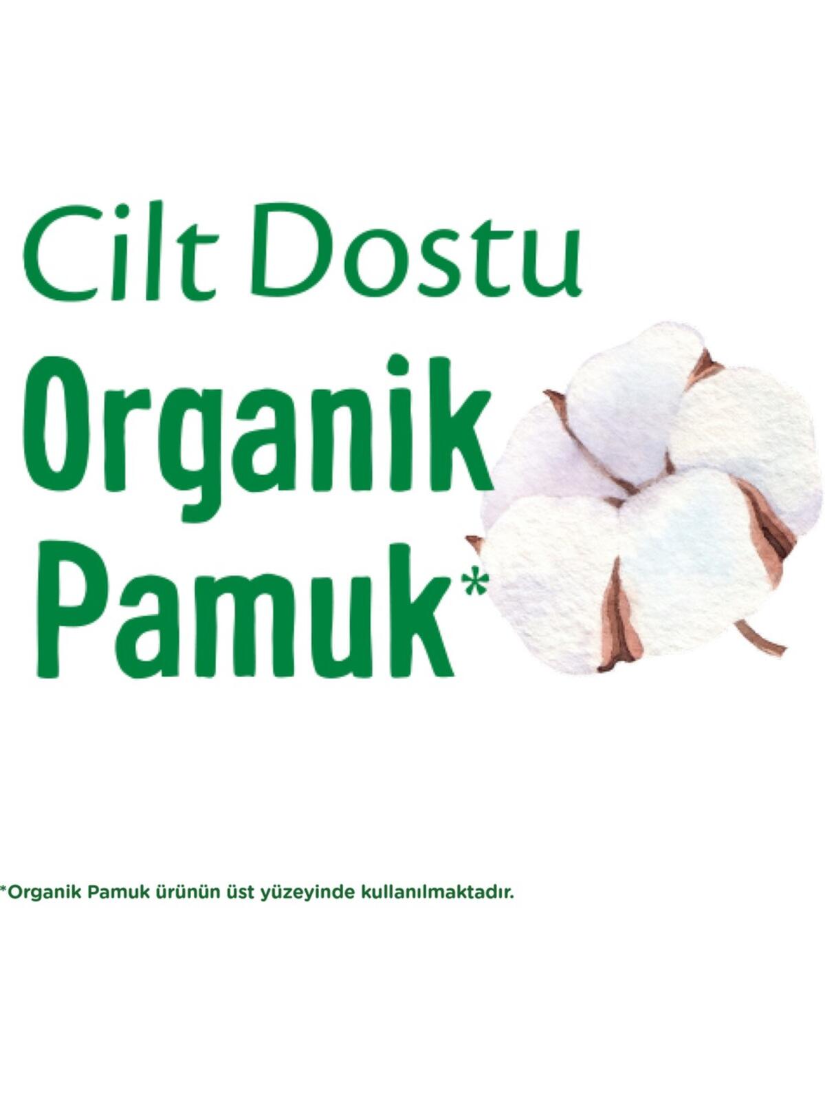 Molped Hijyenik Ped Pure&Soft Uzun S.Eko 18Li