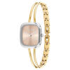 Calvin Klein Saat Kadın CK25100134