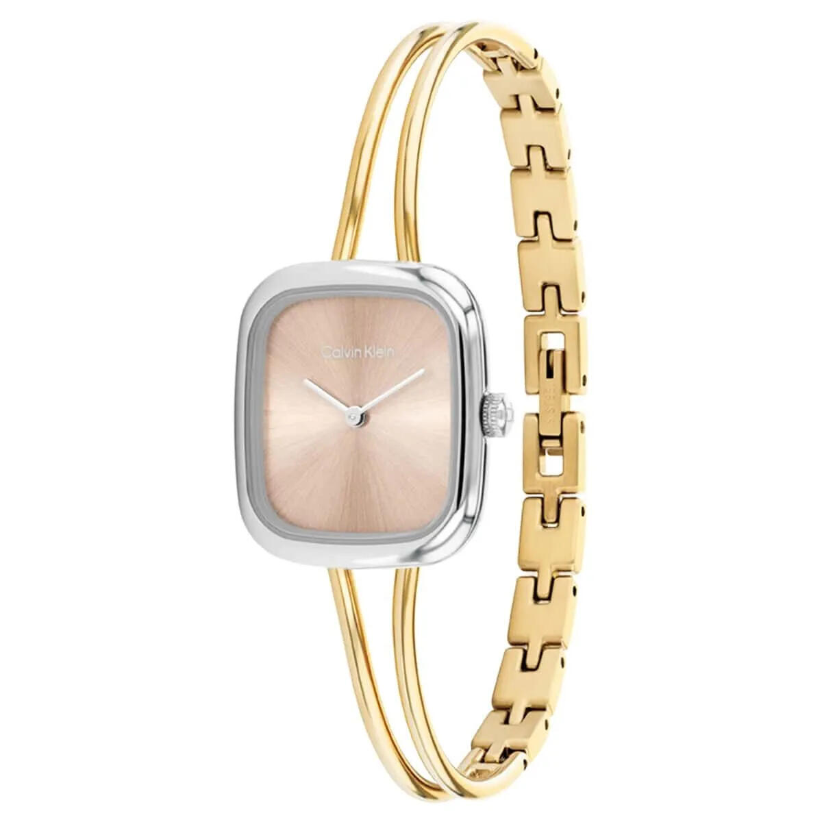 Calvin Klein Saat Kadın CK25100134