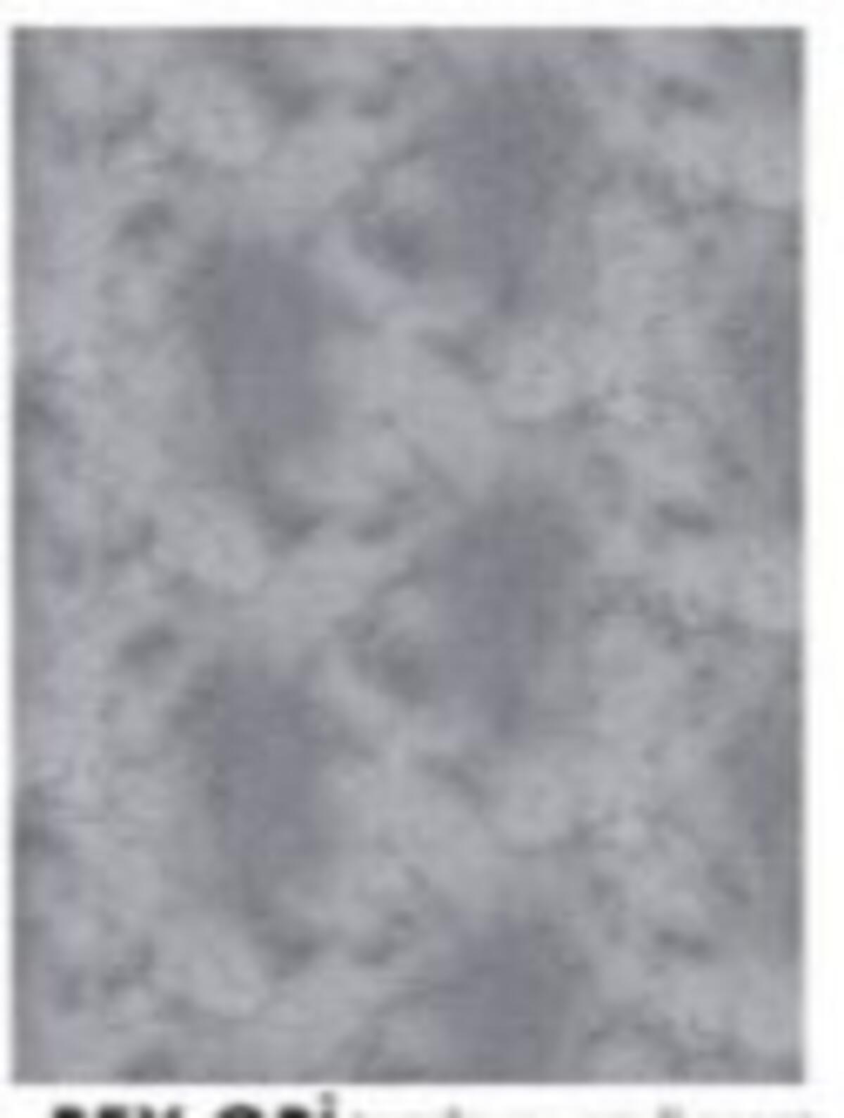 Aksu Desenli Yolluk Prime 100 Cm Rex Gri