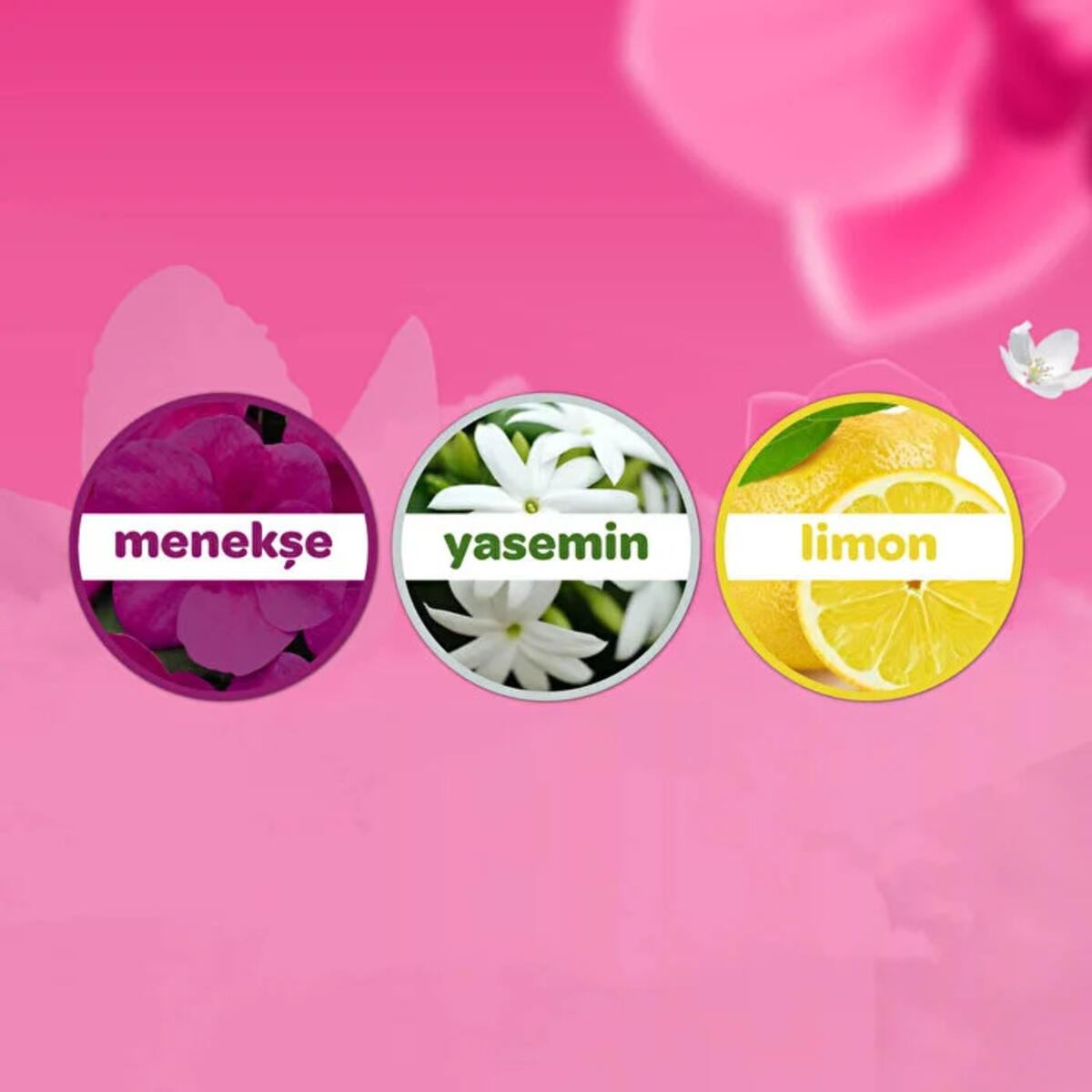 Dalin Kolonya Çiçek Bahçesi 150Ml