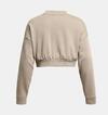 Under Armour Ua Rival Terry Os Crop Crw 1382738-204 Kahverengi