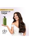 Dp Şampuan Moringa 425Ml