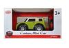 Ceren Toy Karikatür Araba Işıklı Sesli Uzaktan Kumandalı 1:24 CTOY-QX3688-93