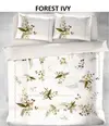 Nev Nt Çk Rnf Ivy Forest Krem