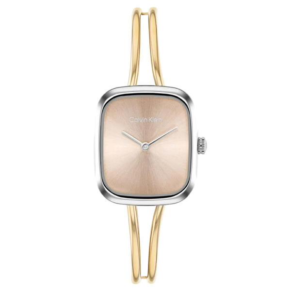 Calvin Klein Saat Kadın CK25100134