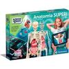 Clementoni Bilim Ve Oyun Süper Anatomi CLE-64474