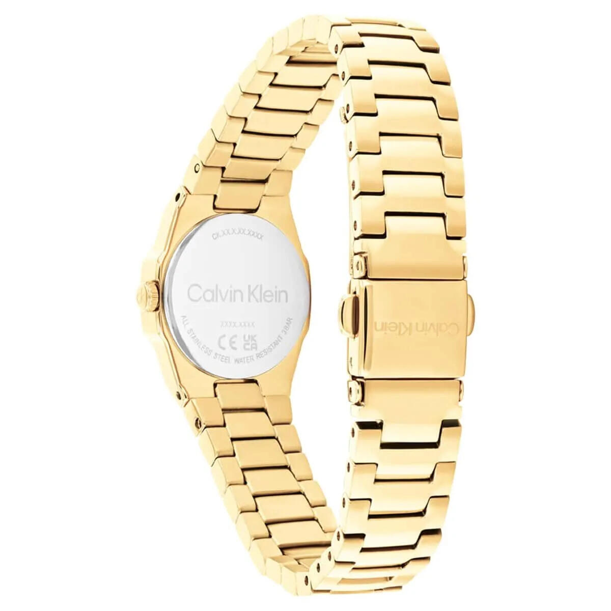 Calvin Klein Saat Kadın CK25100142