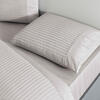 Taç Nt Çk Premium Basic Stripe Gri