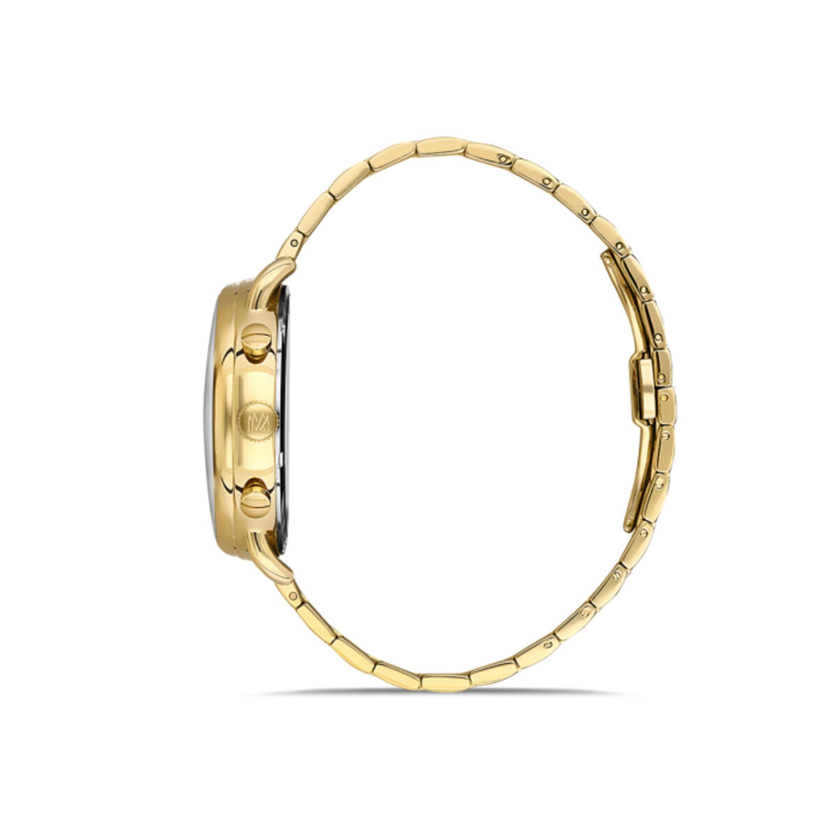 Momentus Saat Erkek CC285G-02SG