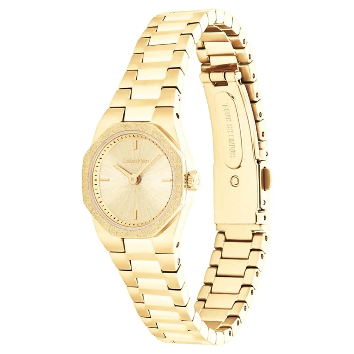 Calvin Klein Saat Kadın CK25100142
