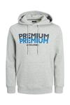 Jack&Jones Sweatshirt 12245810 Açık Gri