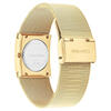 Calvin Klein Saat Kadın CK25100062