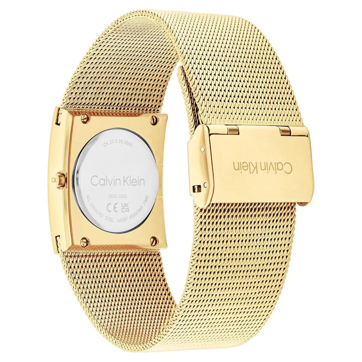 Calvin Klein Saat Kadın CK25100062