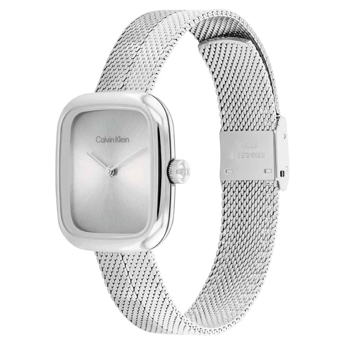 Calvin Klein Saat Kadın CK25100098