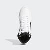 Adidas Hoops 3,0 Mıd Gw3019 Siyah