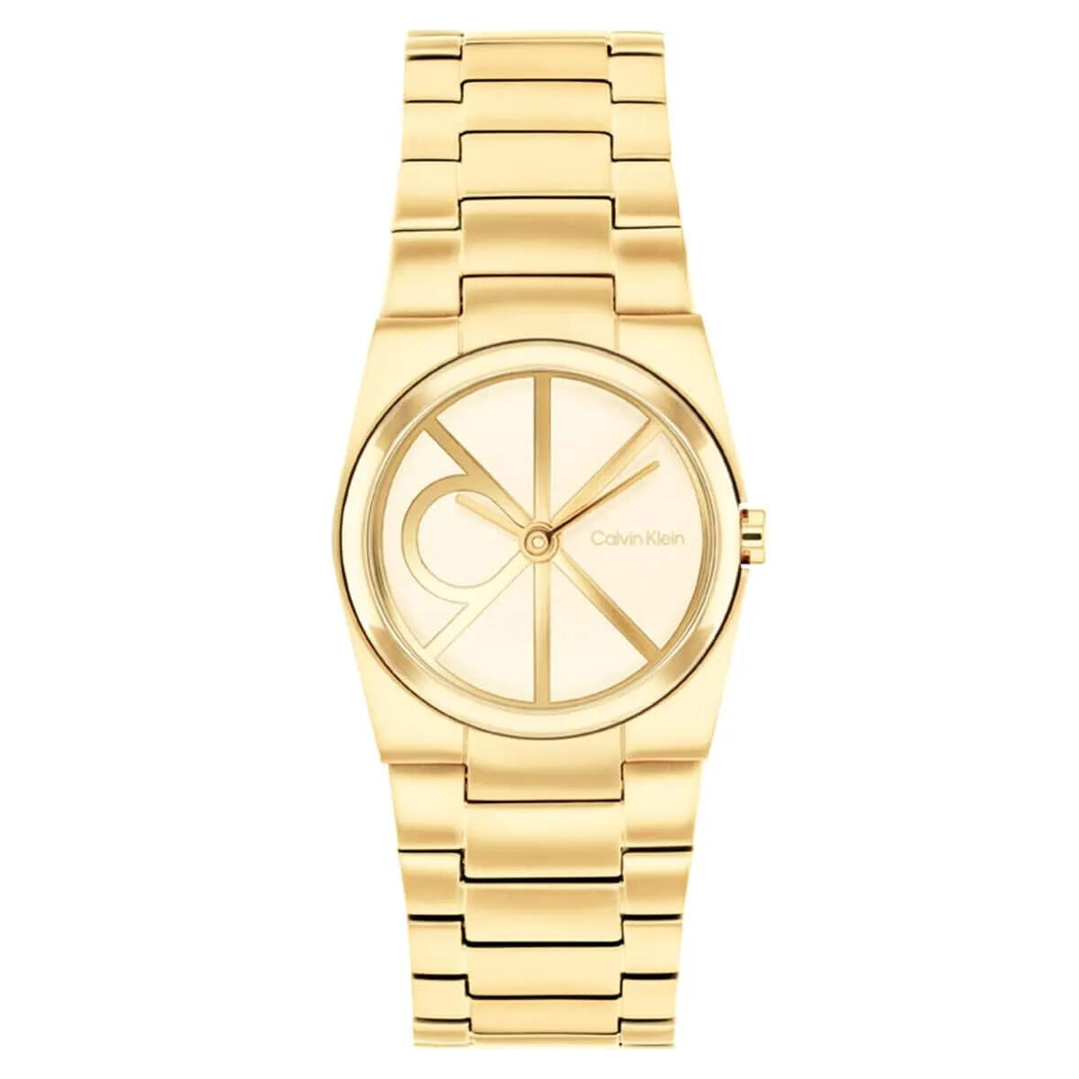 Calvin Klein Saat Kadın CK25100127