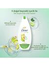 Dove Duş Jeli Avakado 450Ml
