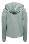Only Sweatshirt 15241103 Su Yeşili M