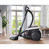 Electrolux Elektrikli Süürge Toz Torbasız Pc91-Alrg