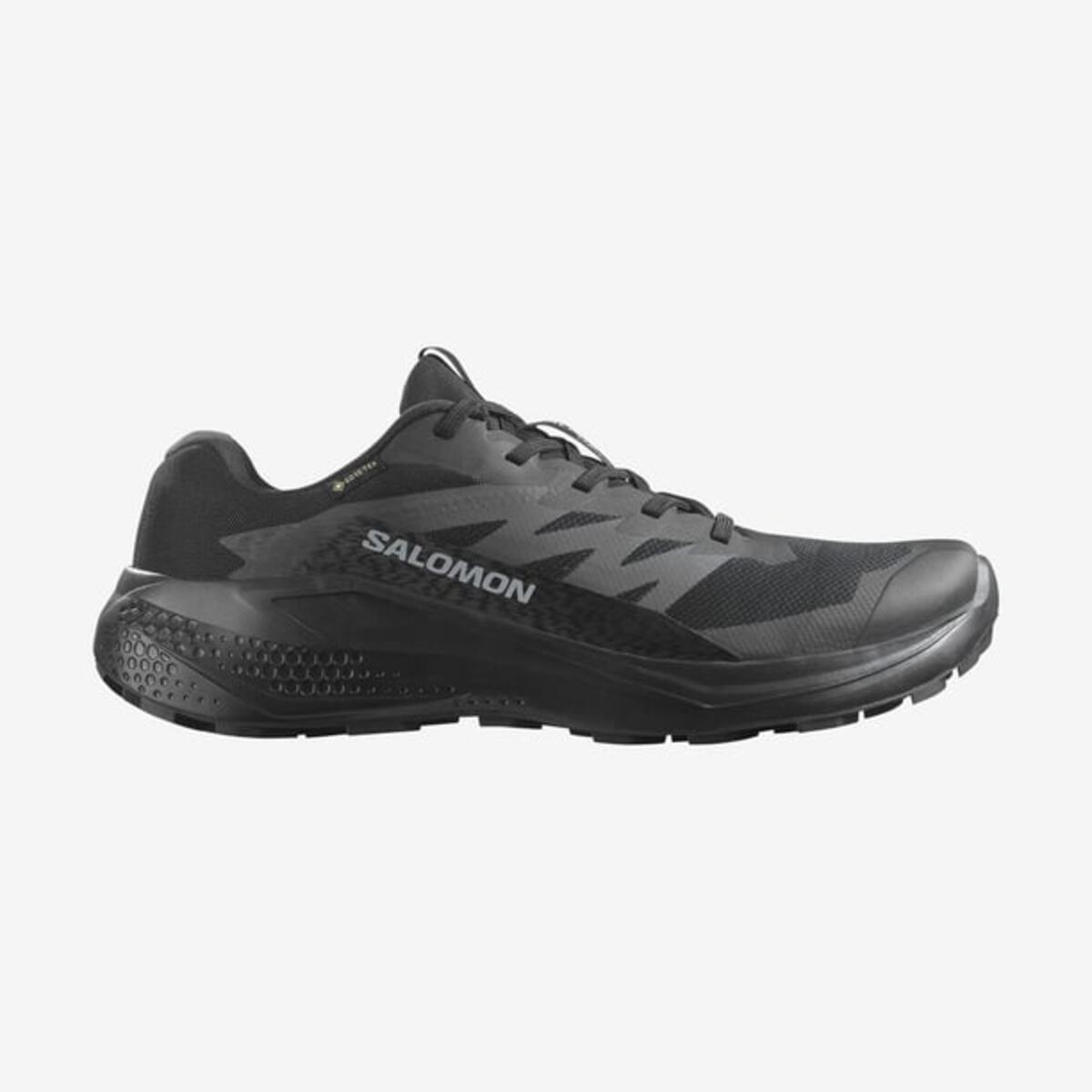 Salomon Alphaglıde Gore-Tex L47802100 Siyah/Antrasit