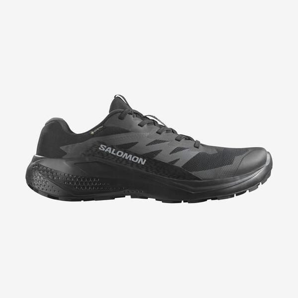 Salomon Alphaglıde Gore-Tex L47802100 Siyah/Antrasit