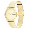 Calvin Klein Saat Kadın CK25100035