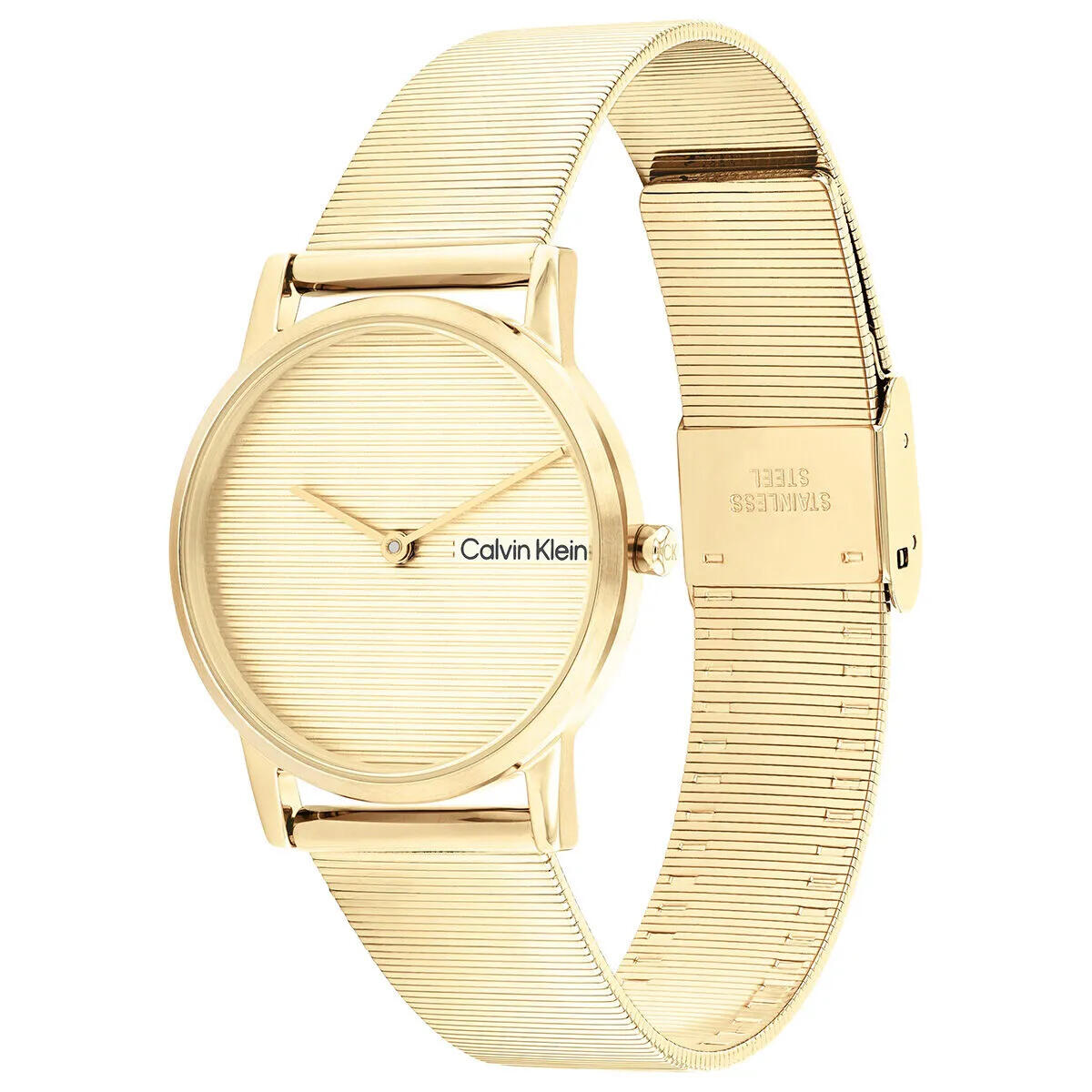 Calvin Klein Saat Kadın CK25100035