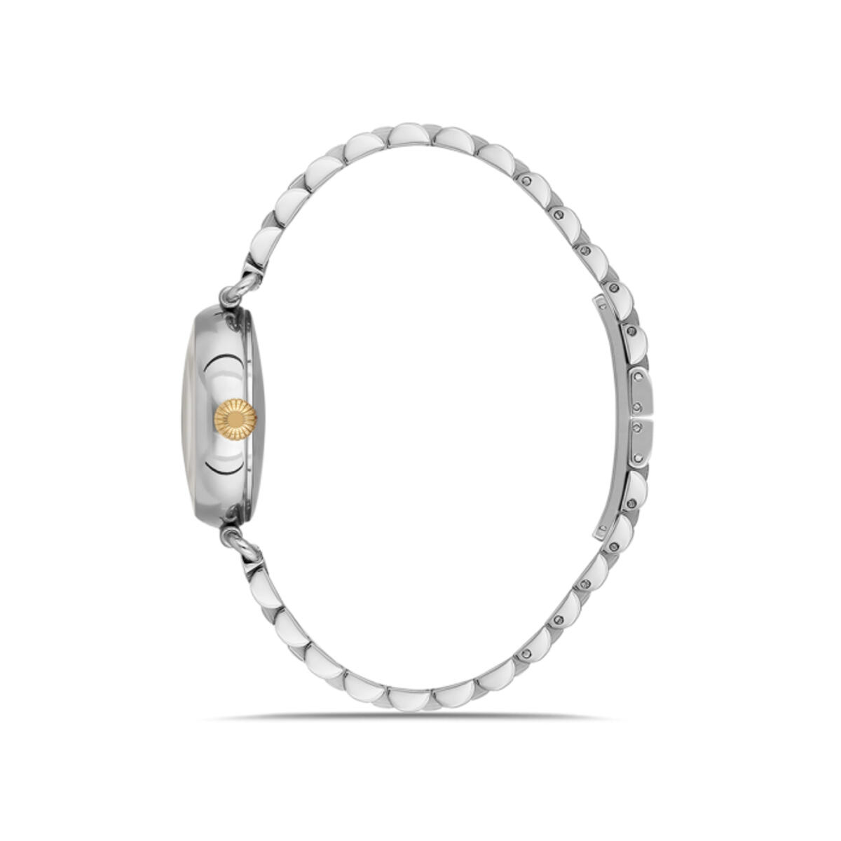 Momentus Saat Kadın CW340S-02TG