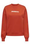Only Sweatshirt 15329876 Narçiçeği