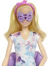 Barbie Welness Işıltı Dolu Spa Günü Oyun Seti MTL-HCM82
